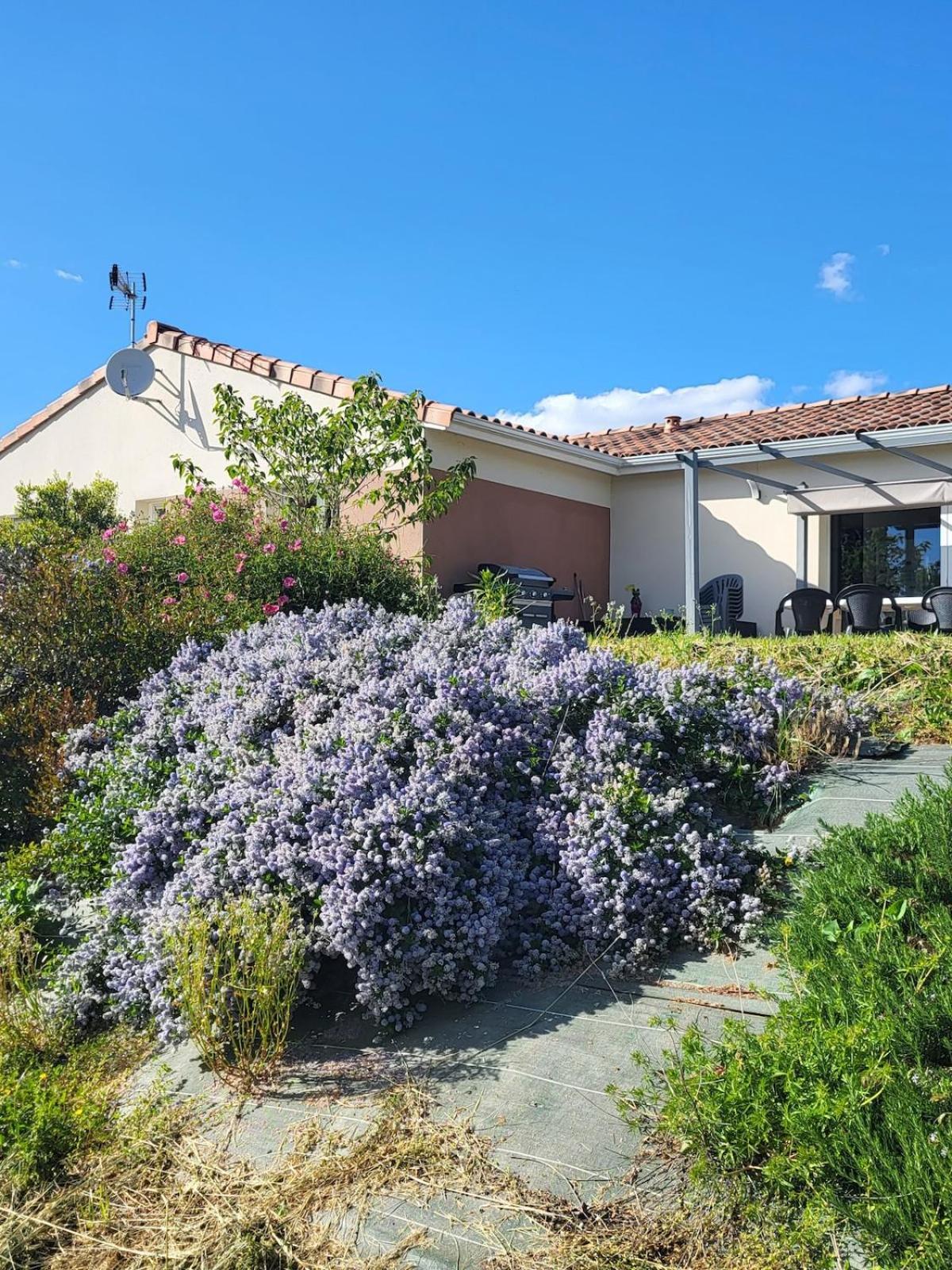 Au Coeur Du Village De Castanet Holiday home *